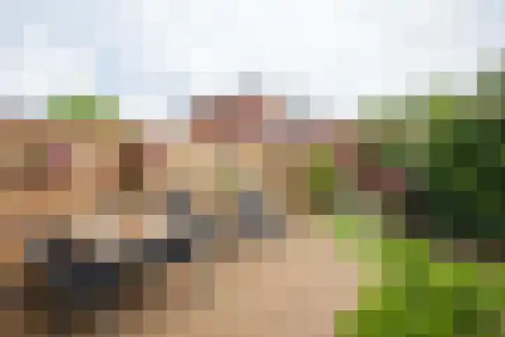 Schoorsteen 12 Aalsmeer thumbnail 37