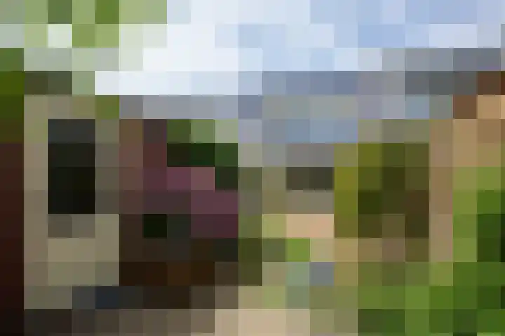 Schoorsteen 12 Aalsmeer thumbnail 38