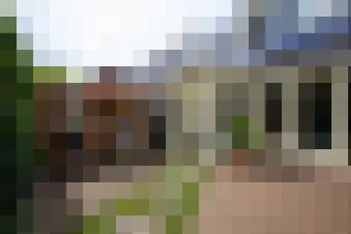Schoorsteen 12 Aalsmeer thumbnail 39