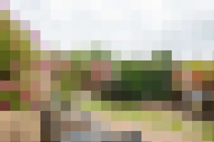 Schoorsteen 12 Aalsmeer thumbnail 5