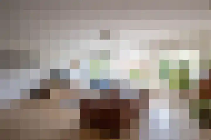 Schoorsteen 12 Aalsmeer thumbnail 9