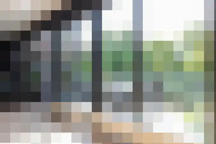 Schoorsteen 22 Aalsmeer thumbnail 13