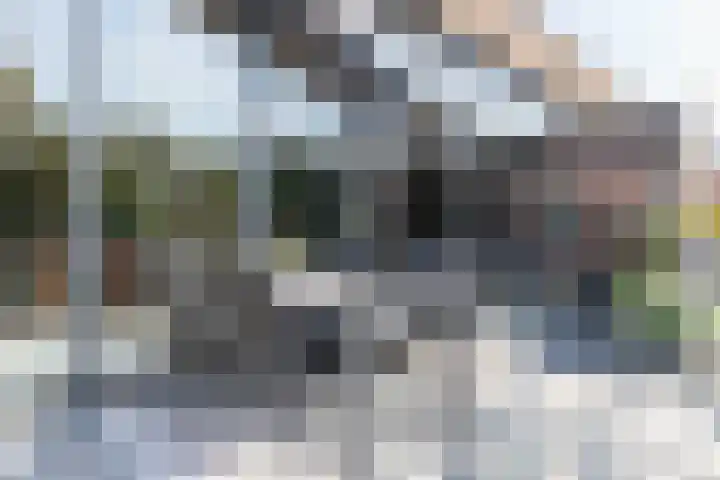 Schoorsteen 22 Aalsmeer thumbnail 14