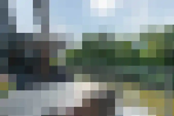 Schoorsteen 22 Aalsmeer thumbnail 15