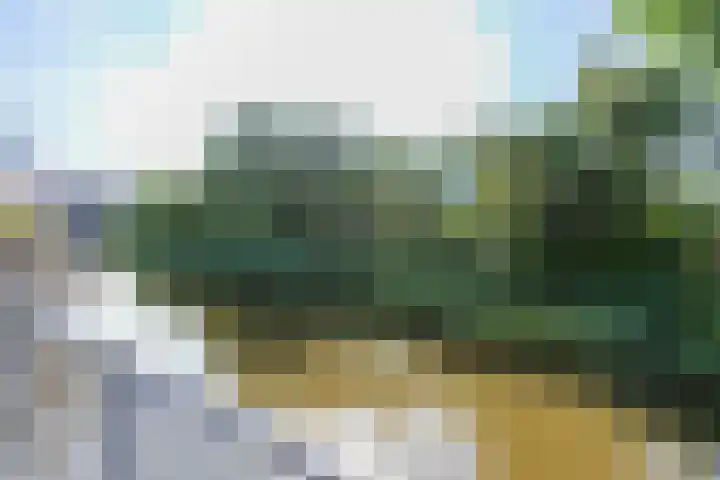 Schoorsteen 22 Aalsmeer thumbnail 19