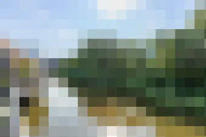 Schoorsteen 22 Aalsmeer thumbnail 20