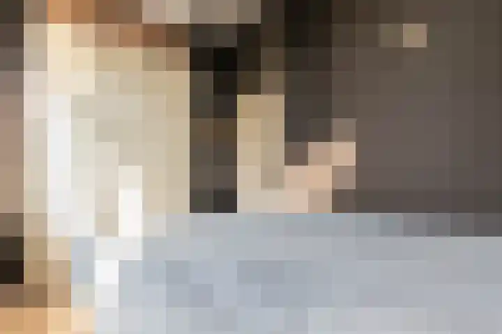 Schoorsteen 22 Aalsmeer thumbnail 25