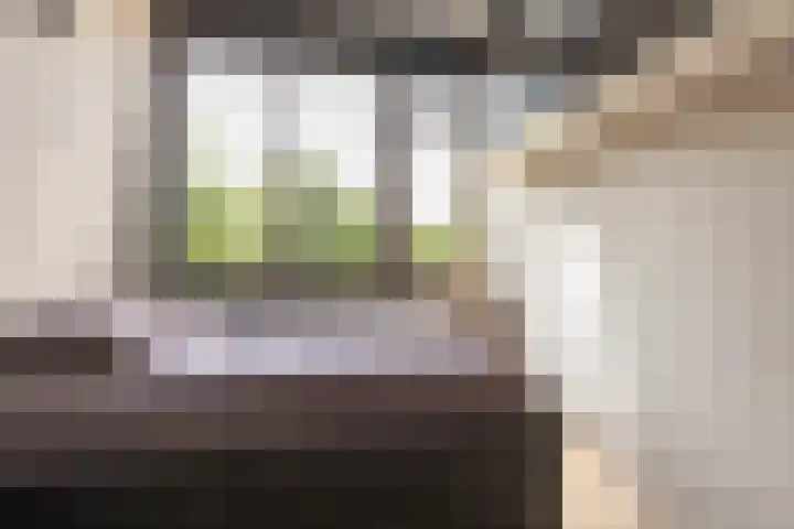 Schoorsteen 22 Aalsmeer thumbnail 26
