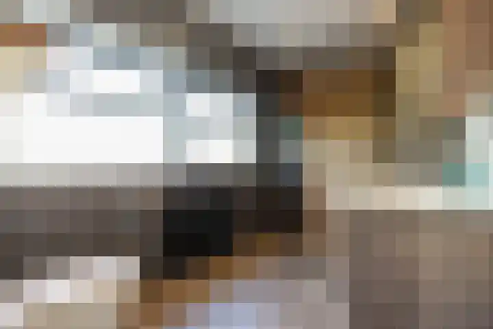 Schoorsteen 22 Aalsmeer thumbnail 31