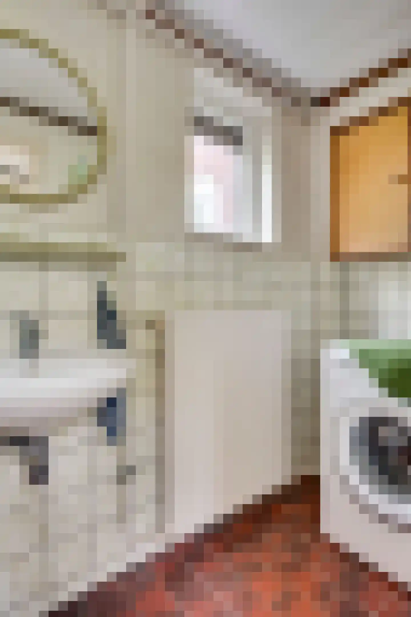 Schoorstraat 1 Baexem thumbnail 17