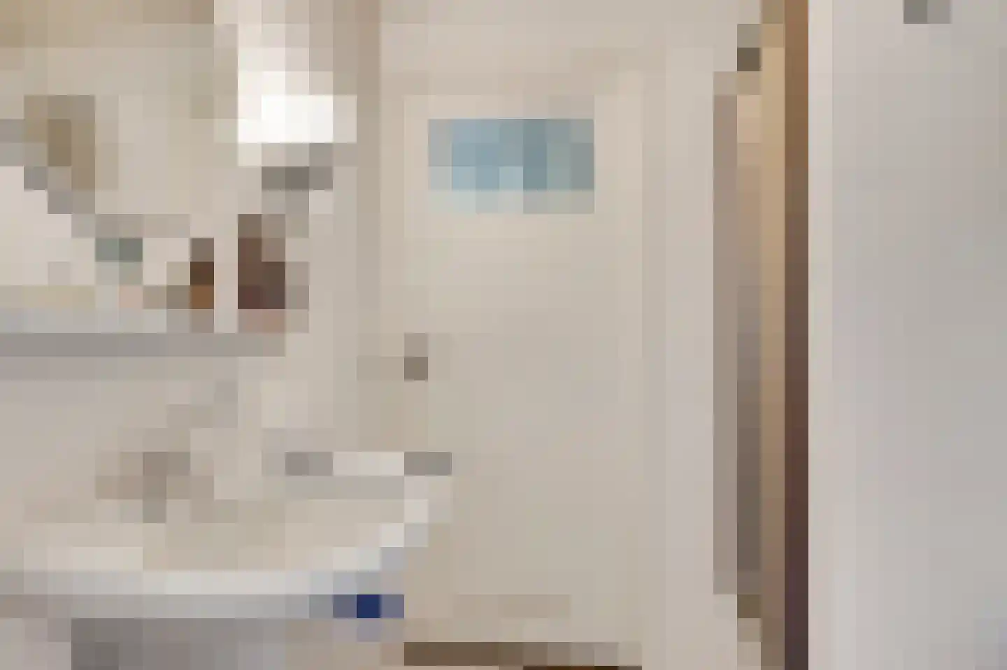 Schoorstraat 1 Baexem thumbnail 29