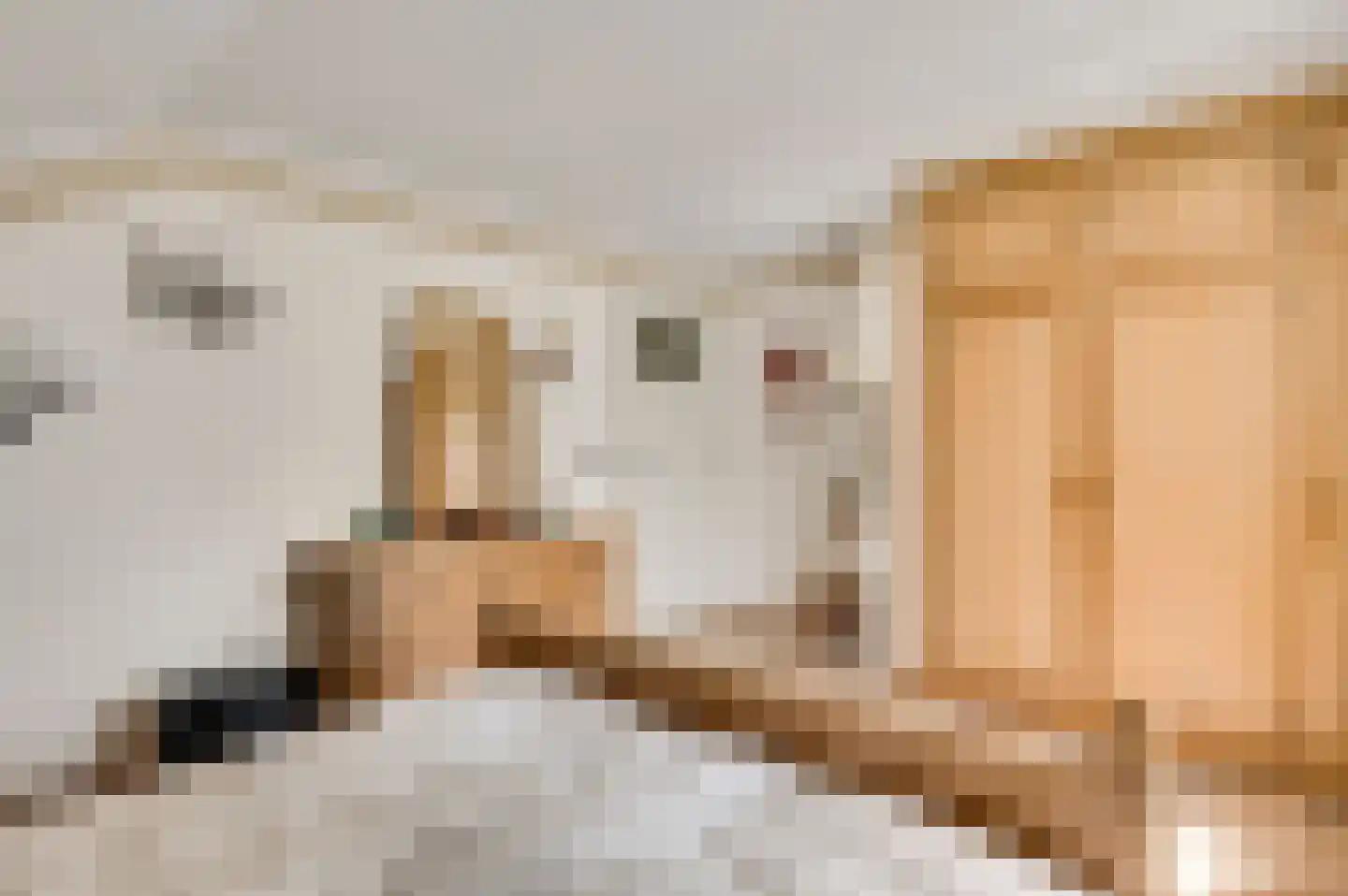Schoorstraat 1 Baexem thumbnail 31