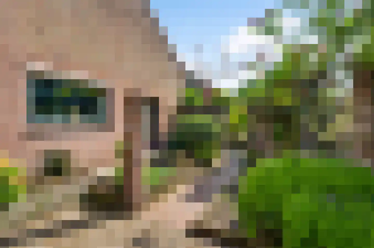 Schoorstraat 1 Baexem thumbnail 37