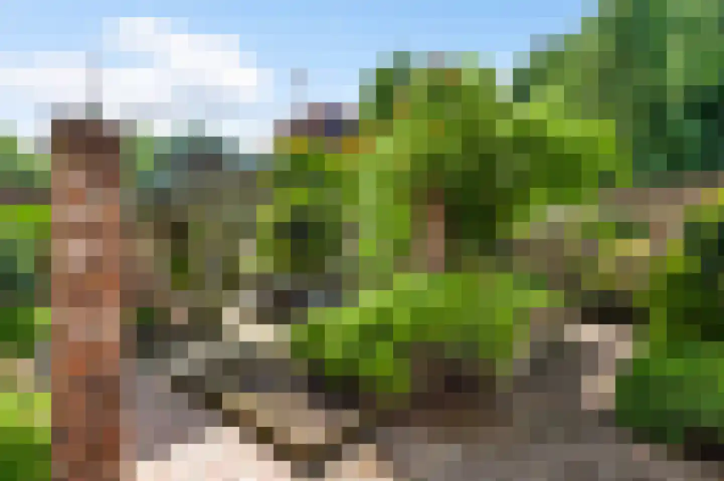 Schoorstraat 1 Baexem thumbnail 38