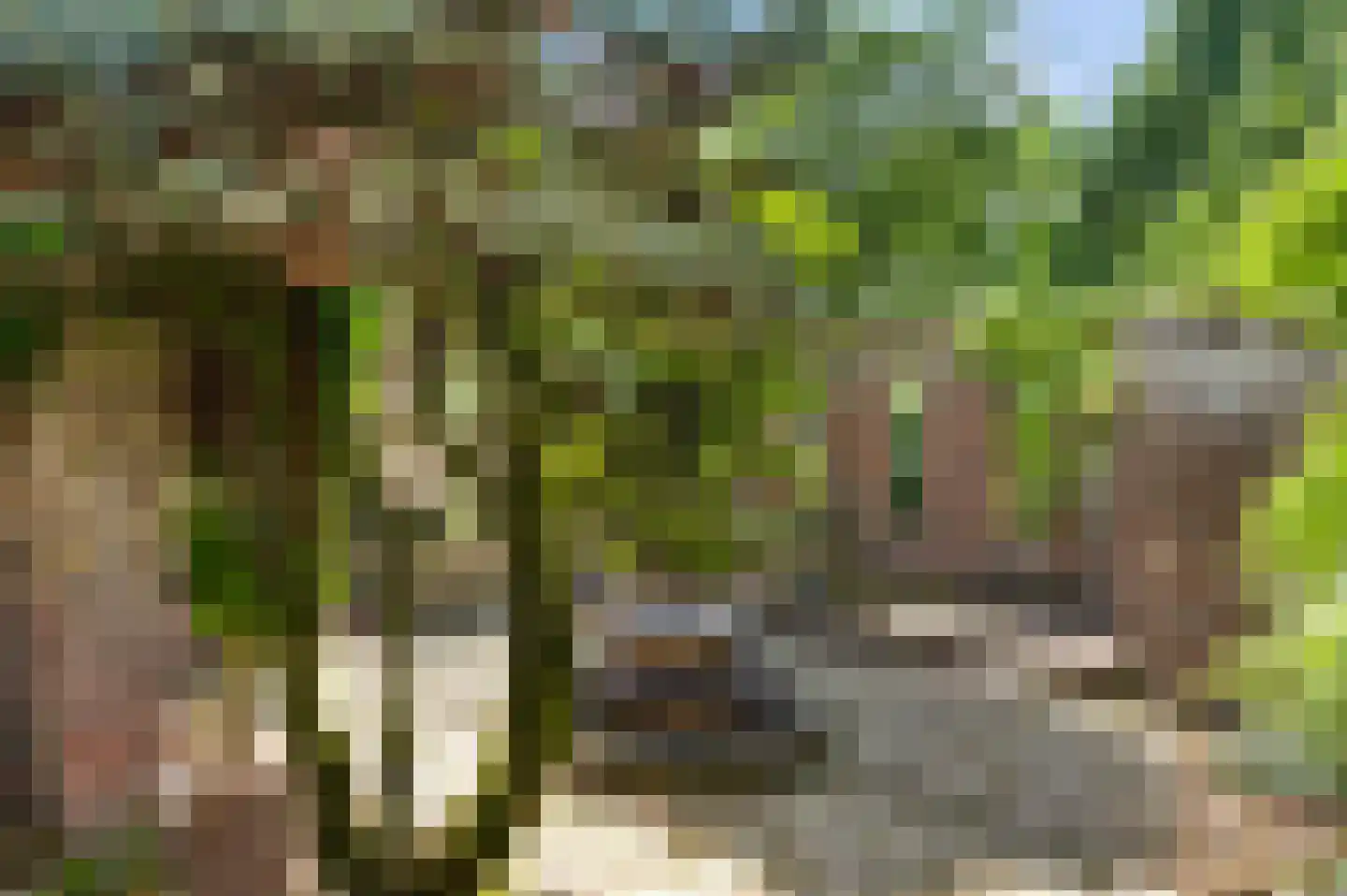 Schoorstraat 1 Baexem thumbnail 39