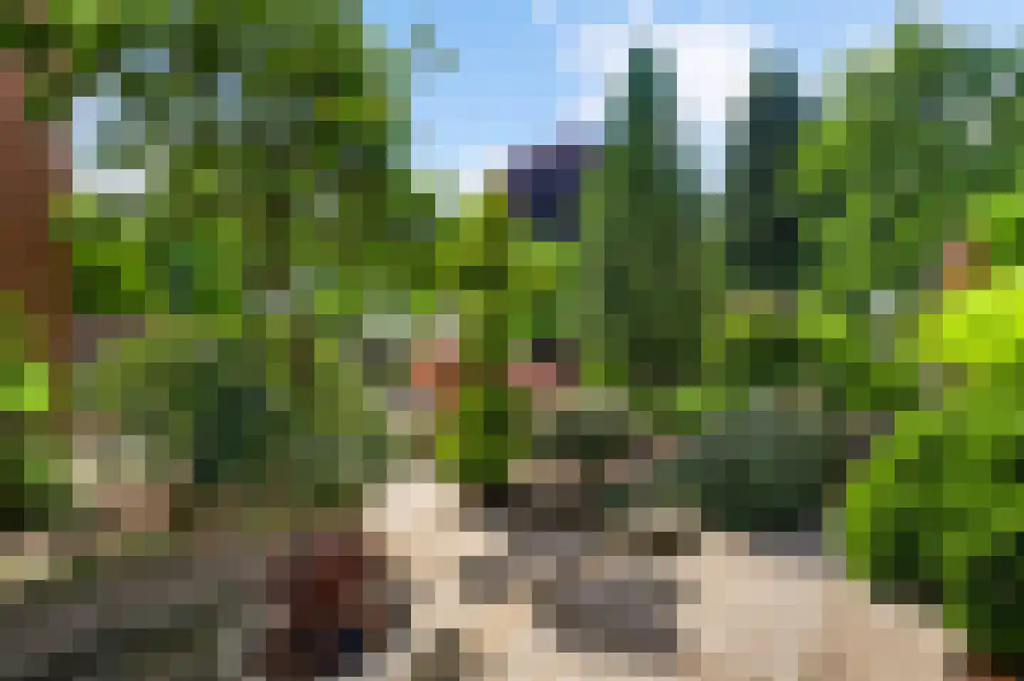 Schoorstraat 1 Baexem thumbnail 41