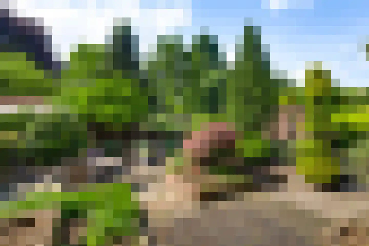 Schoorstraat 1 Baexem thumbnail 42