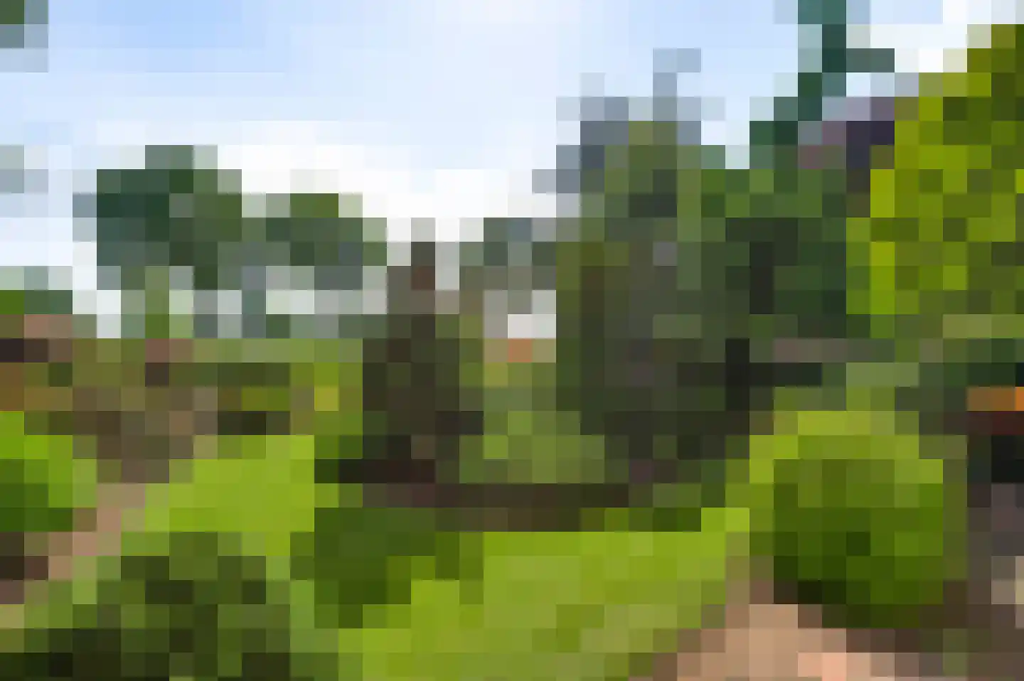 Schoorstraat 1 Baexem thumbnail 44