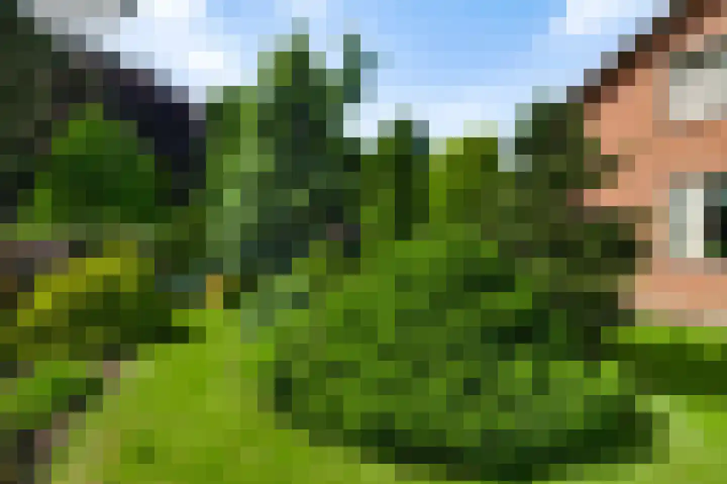 Schoorstraat 1 Baexem thumbnail 45