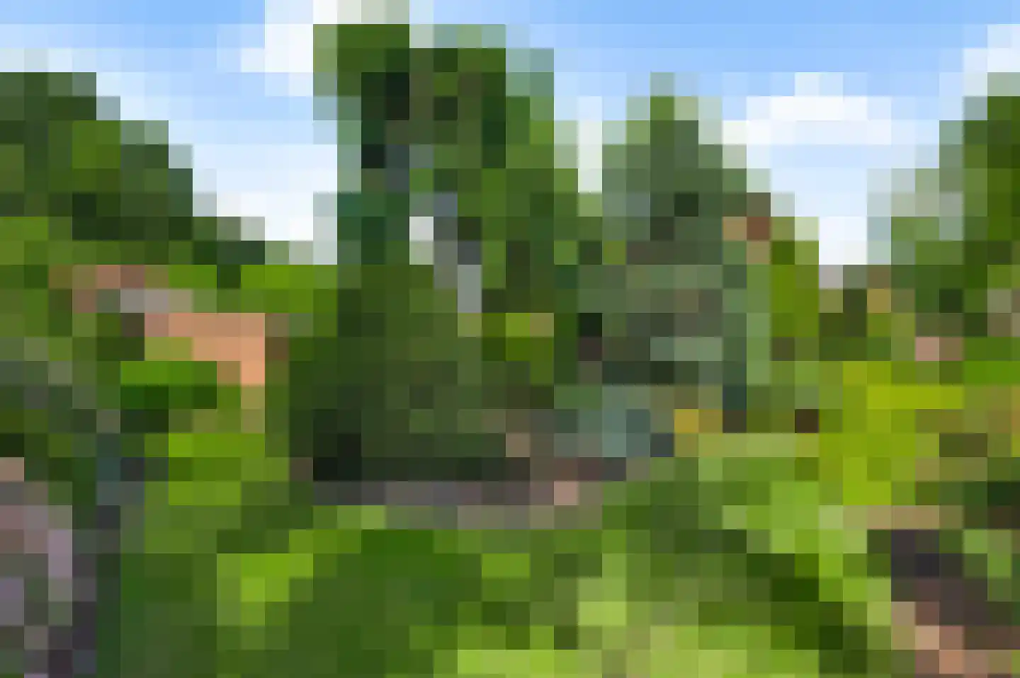 Schoorstraat 1 Baexem thumbnail 46