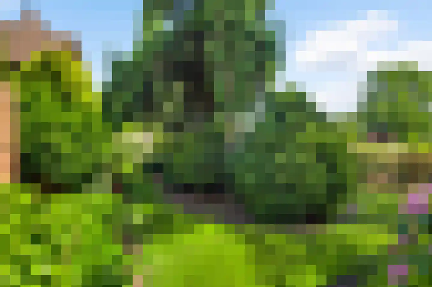 Schoorstraat 1 Baexem thumbnail 47