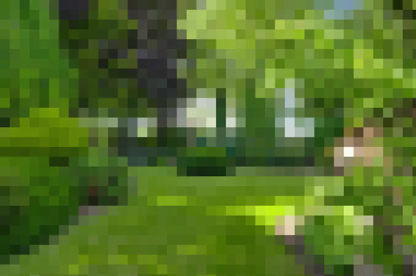 Schoorstraat 1 Baexem thumbnail 48