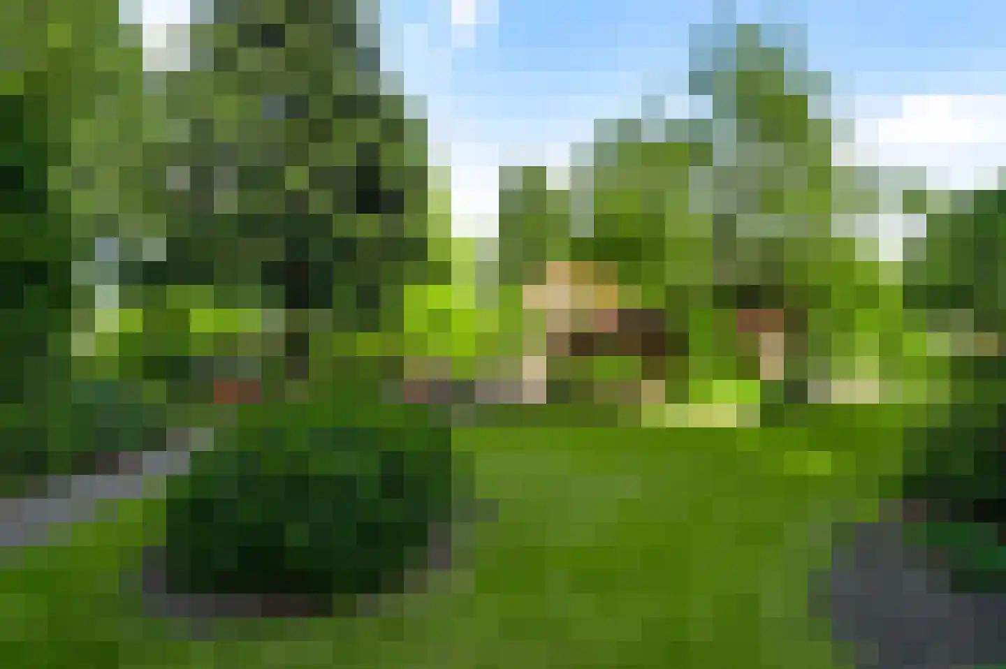 Schoorstraat 1 Baexem thumbnail 49