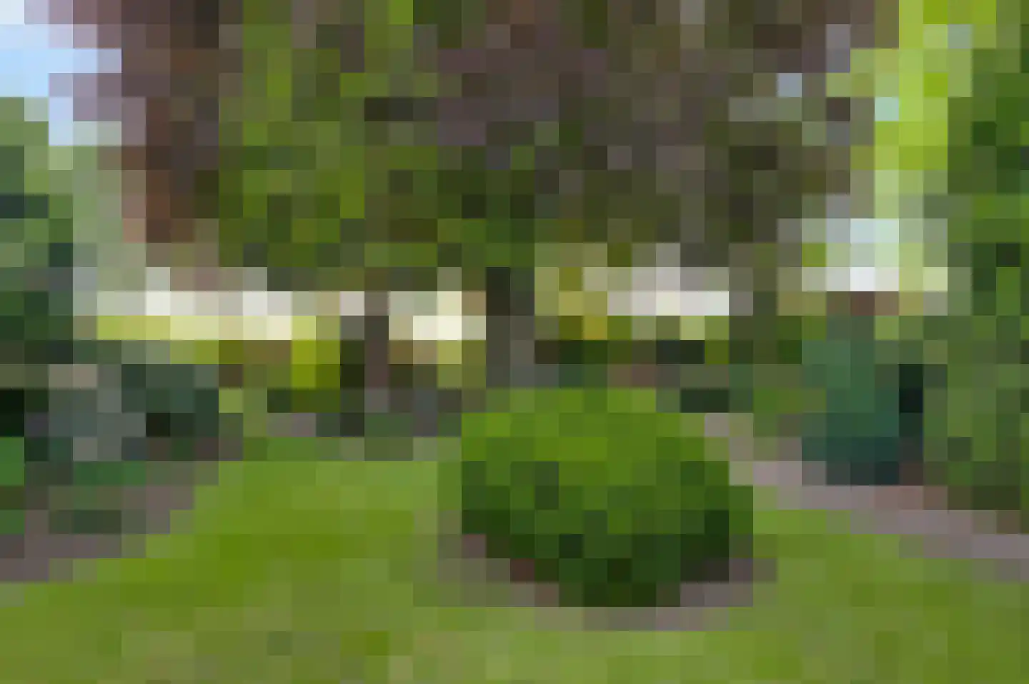 Schoorstraat 1 Baexem thumbnail 50