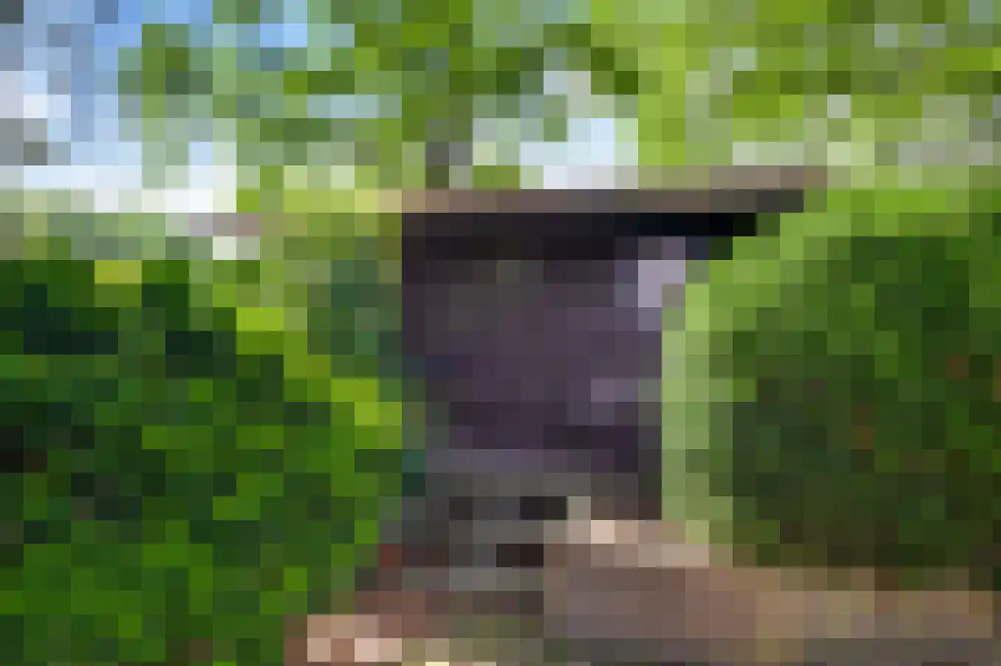 Schoorstraat 1 Baexem thumbnail 51