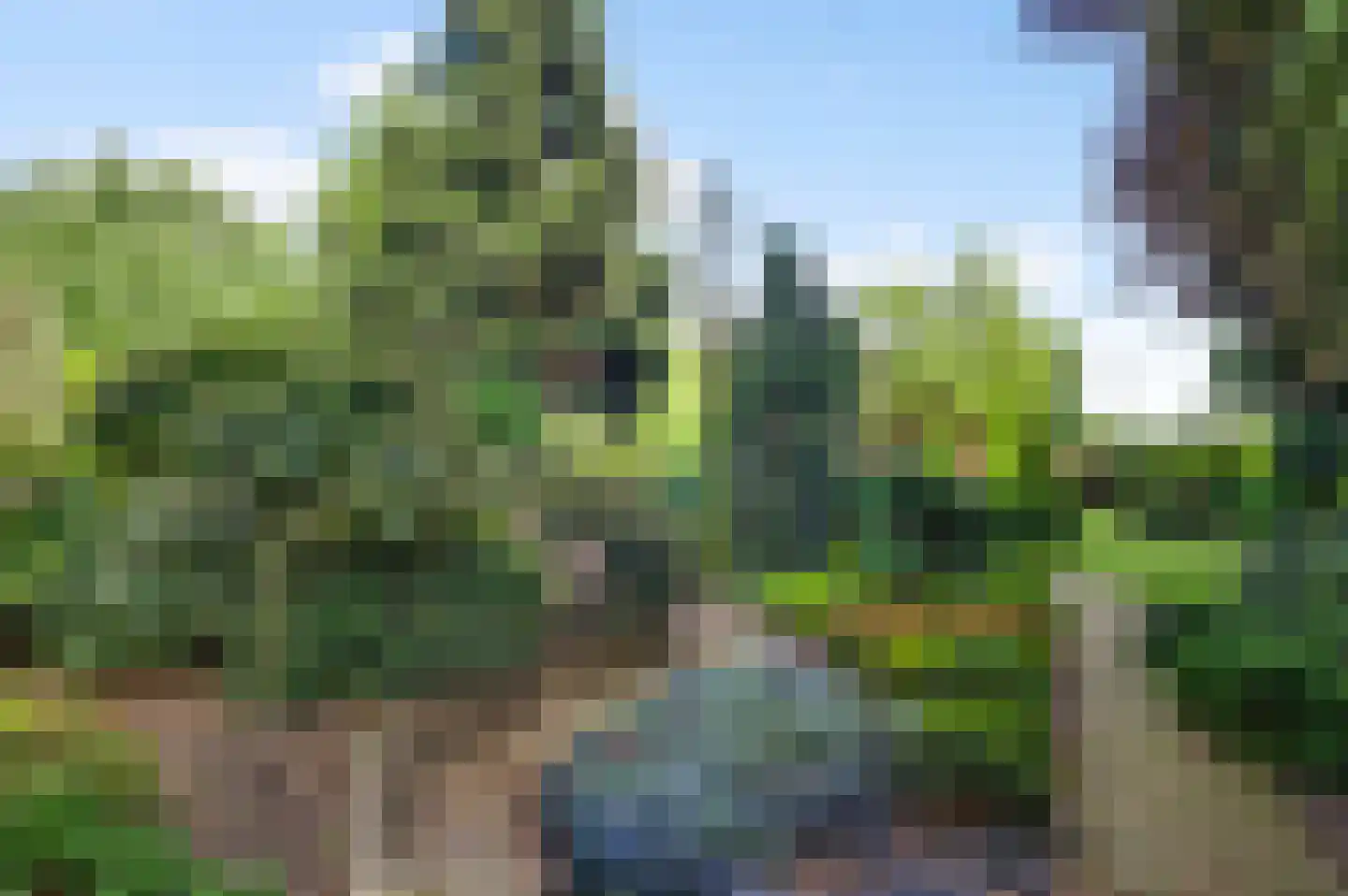 Schoorstraat 1 Baexem thumbnail 52