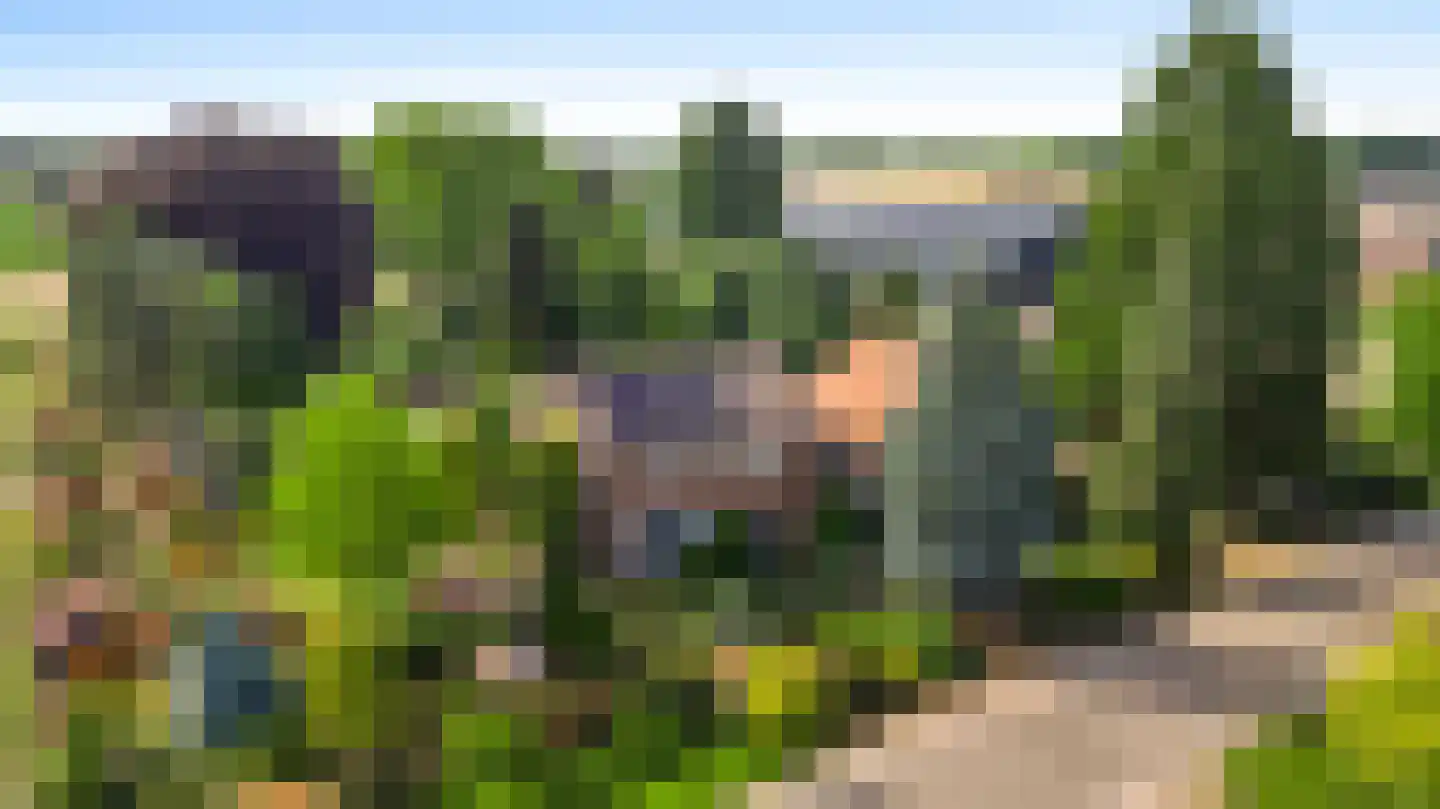 Schoorstraat 1 Baexem thumbnail 53