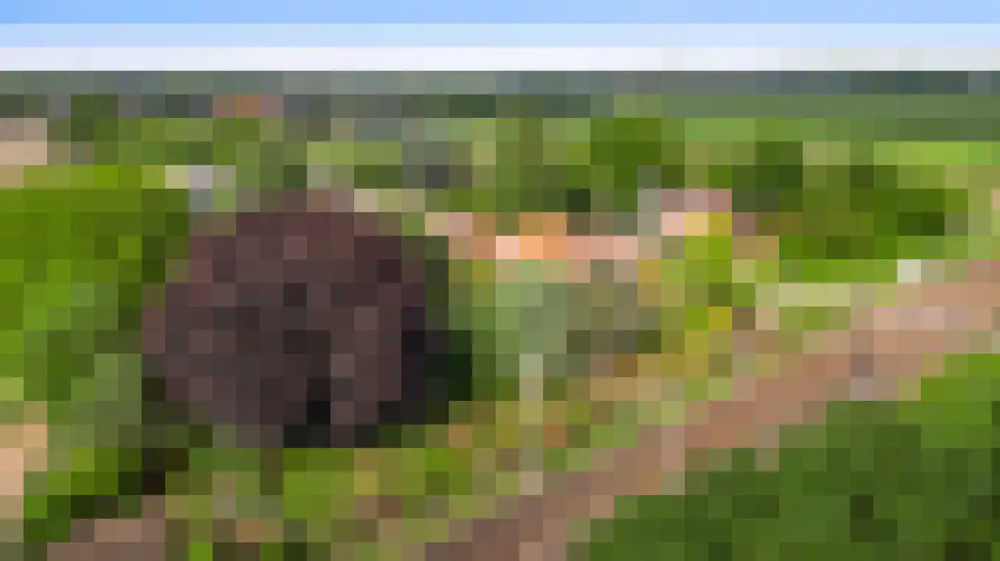 Schoorstraat 1 Baexem thumbnail 55