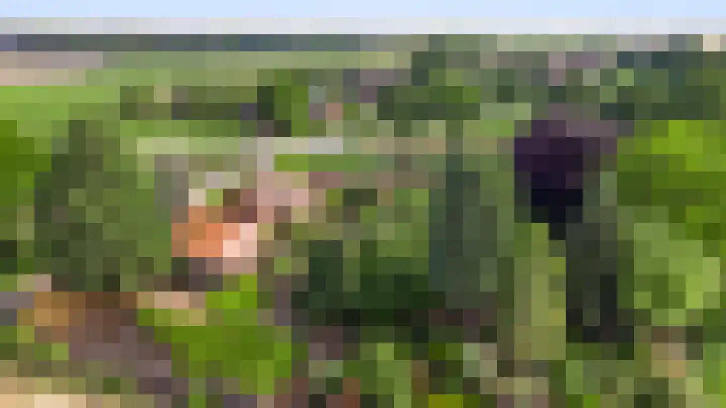 Schoorstraat 1 Baexem thumbnail 56