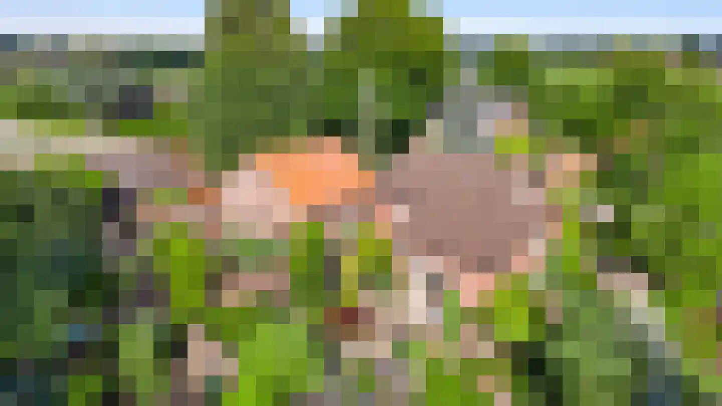 Schoorstraat 1 Baexem thumbnail 58