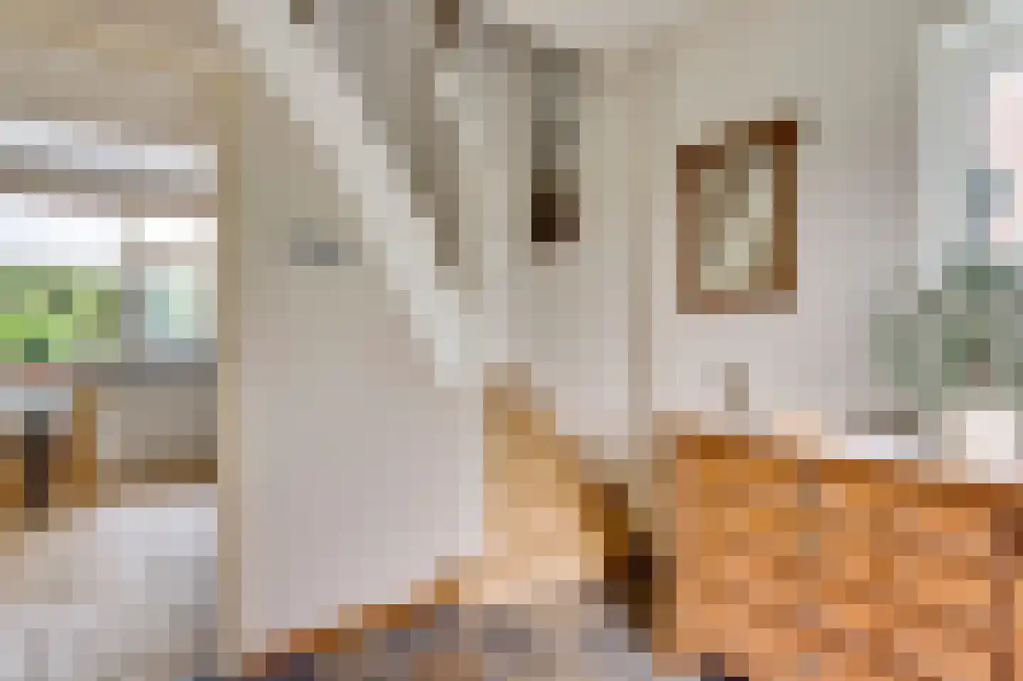 Schoorstraat 1 Baexem thumbnail 6