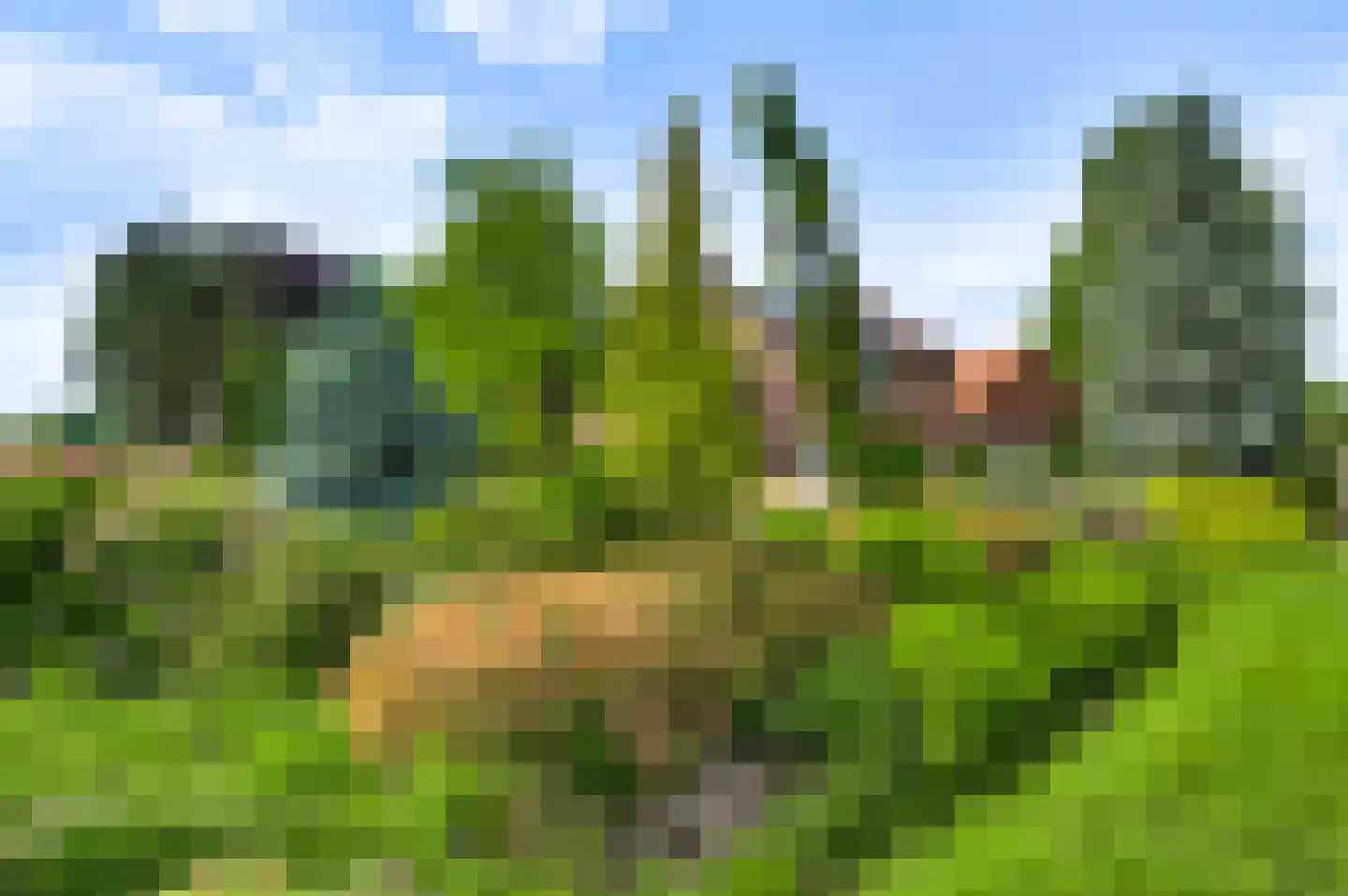 Schoorstraat 1 Baexem thumbnail 61