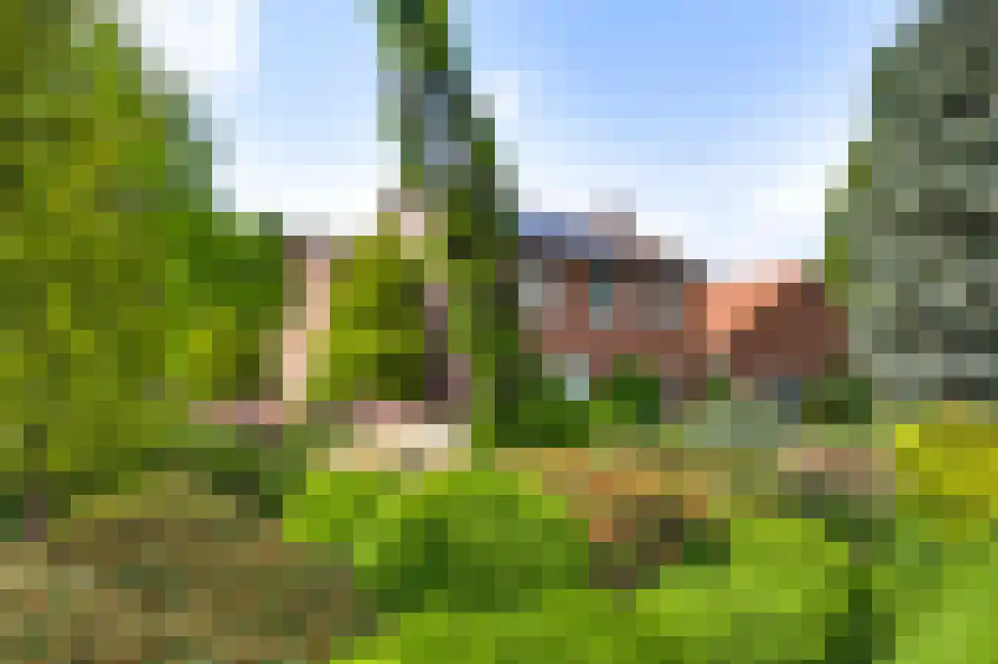Schoorstraat 1 Baexem thumbnail 62