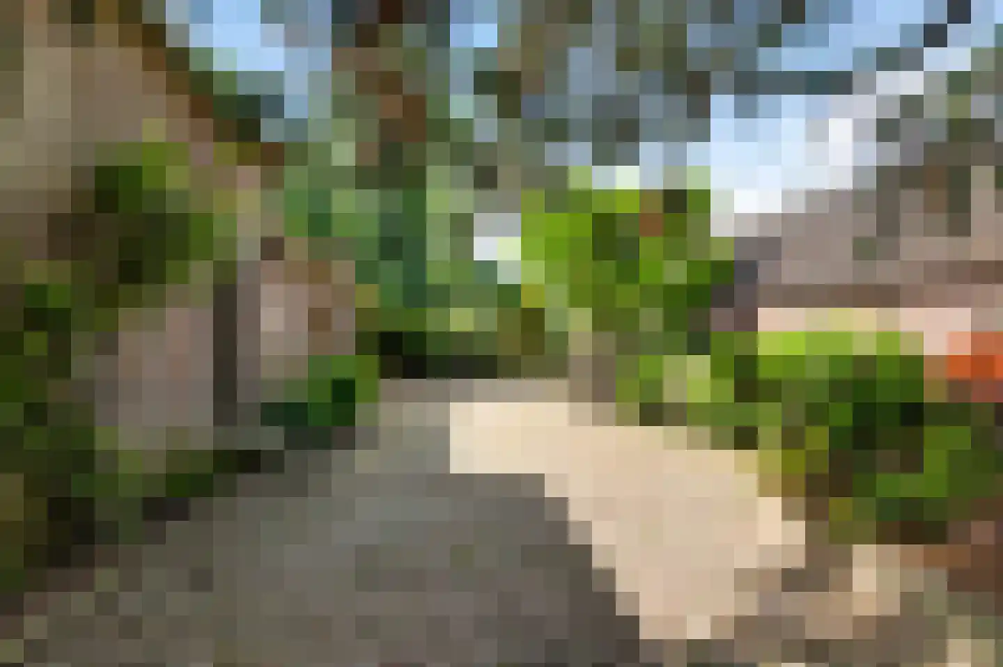 Schoorstraat 1 Baexem thumbnail 67