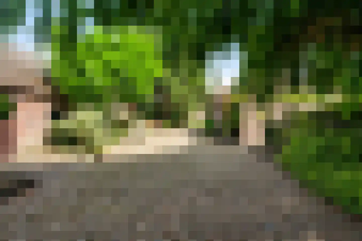 Schoorstraat 1 Baexem thumbnail 68