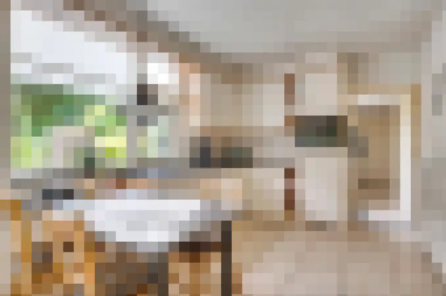 Schoorstraat 1 Baexem thumbnail 7