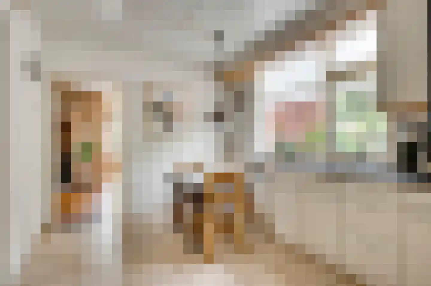 Schoorstraat 1 Baexem thumbnail 8