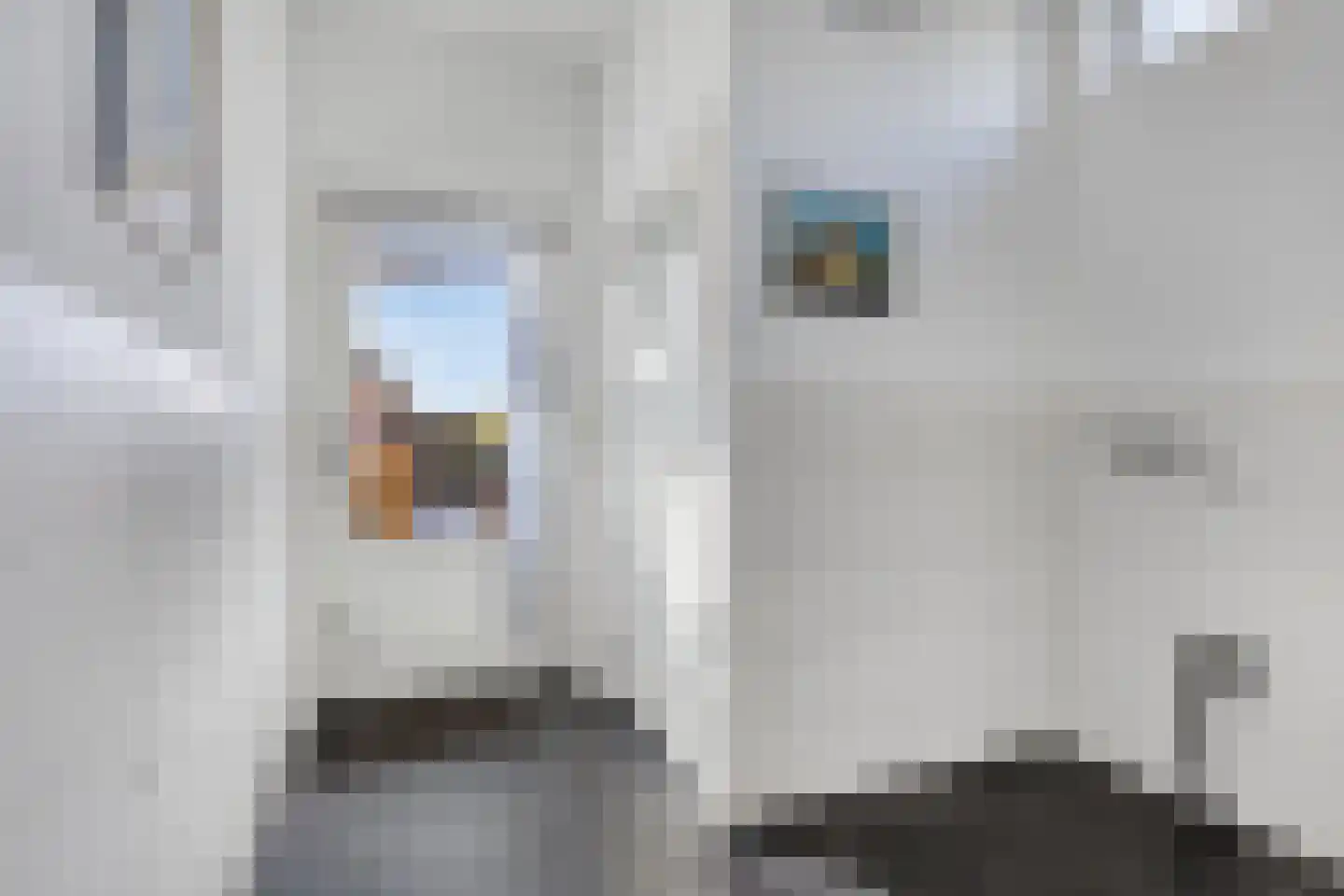 Schoorstraat 39 Udenhout thumbnail 22