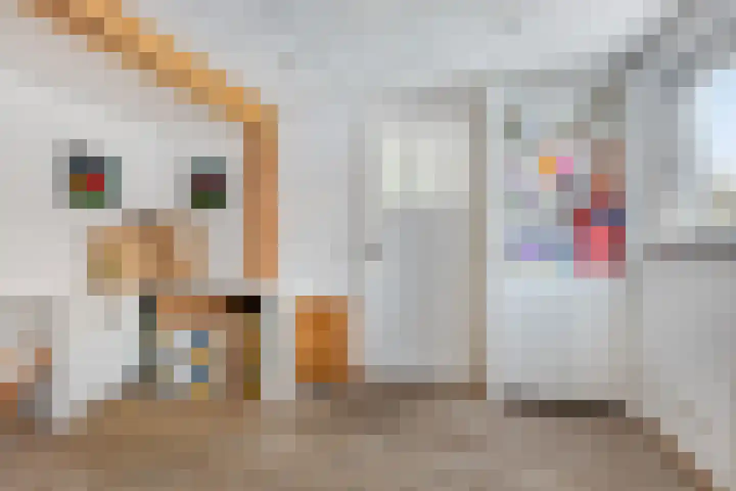 Schoorstraat 39 Udenhout thumbnail 28