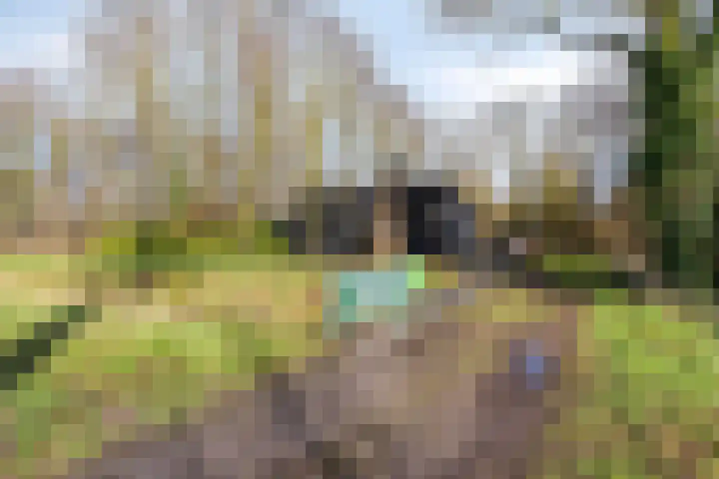 Schoorstraat 39 Udenhout thumbnail 59