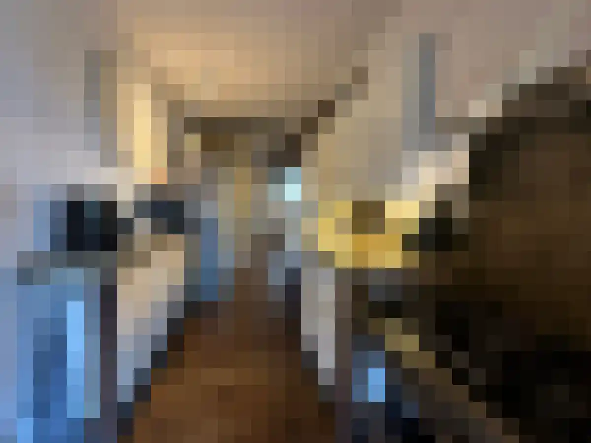 Schoorstraat 8 b Baexem thumbnail 6