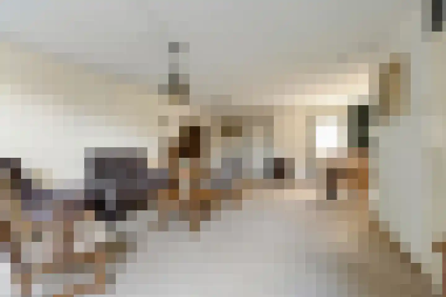 Schoorswinkel 57 Gemert thumbnail 12