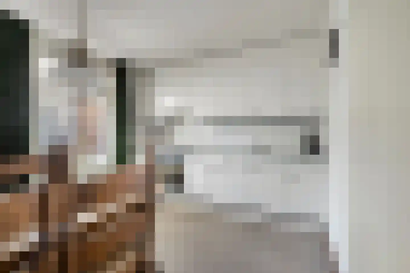 Schoorswinkel 57 Gemert thumbnail 15