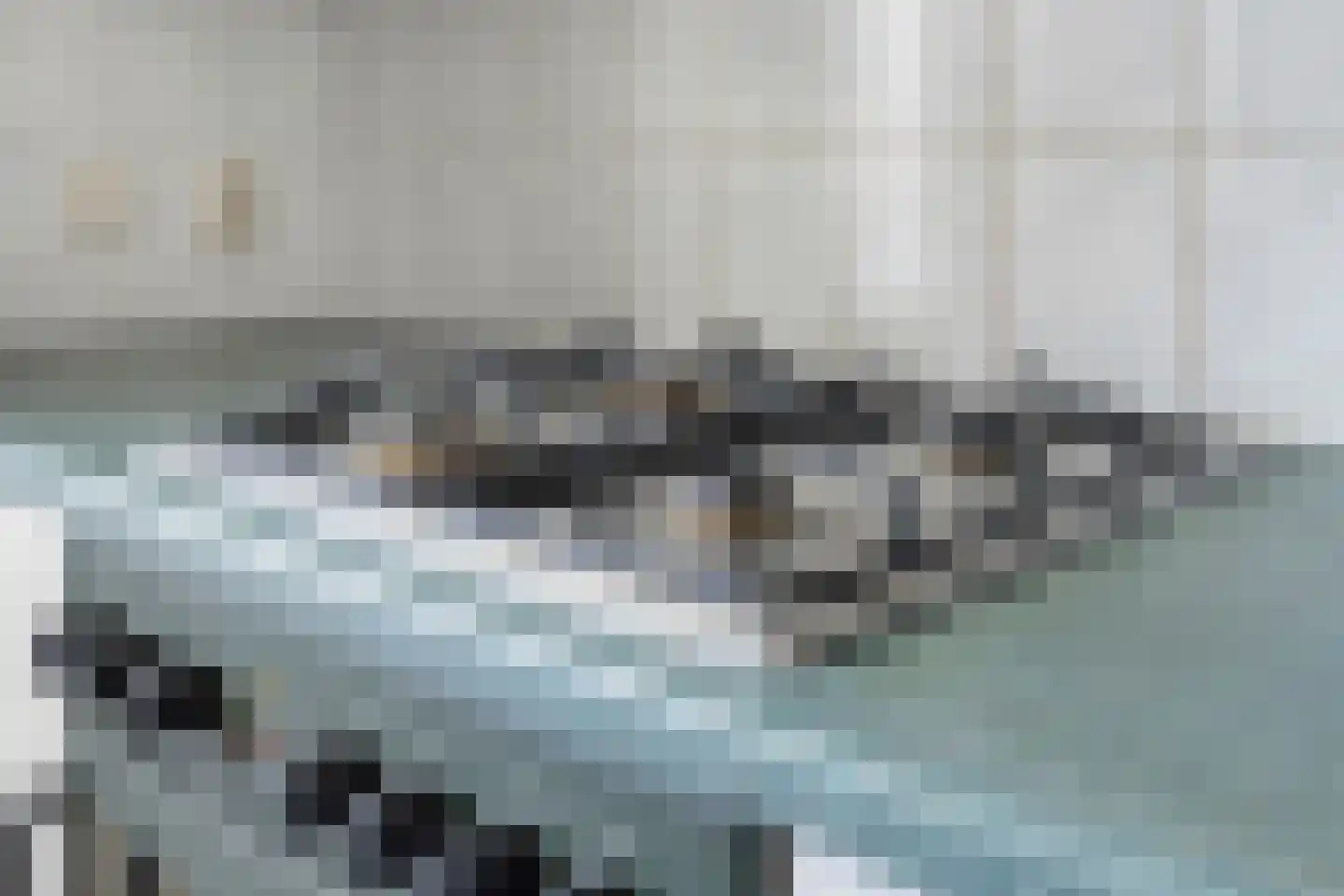 Schoorswinkel 57 Gemert thumbnail 17