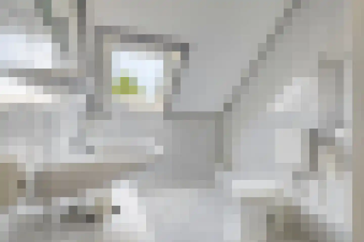 Schoorswinkel 57 Gemert thumbnail 22