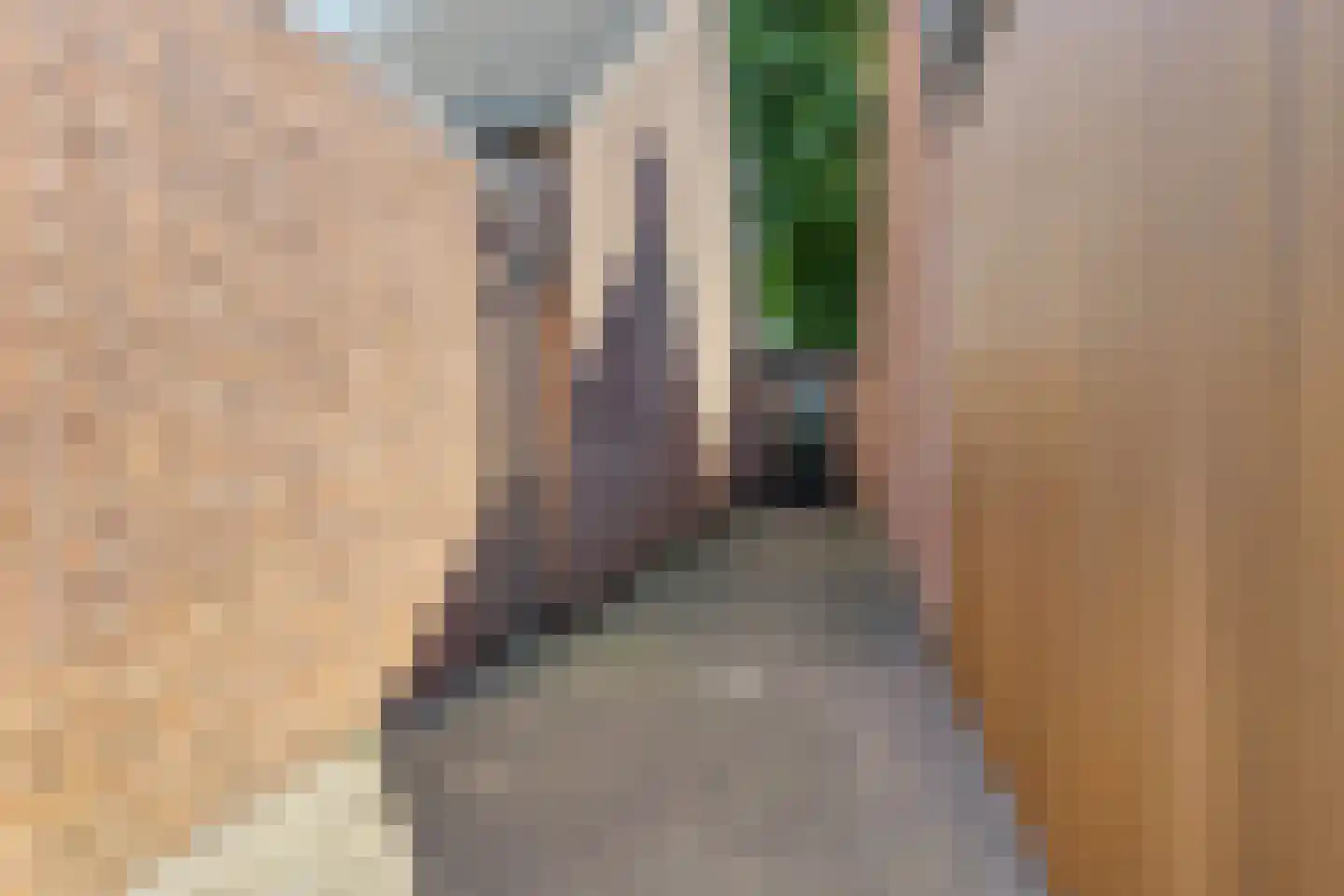 Schoorswinkel 57 Gemert thumbnail 34